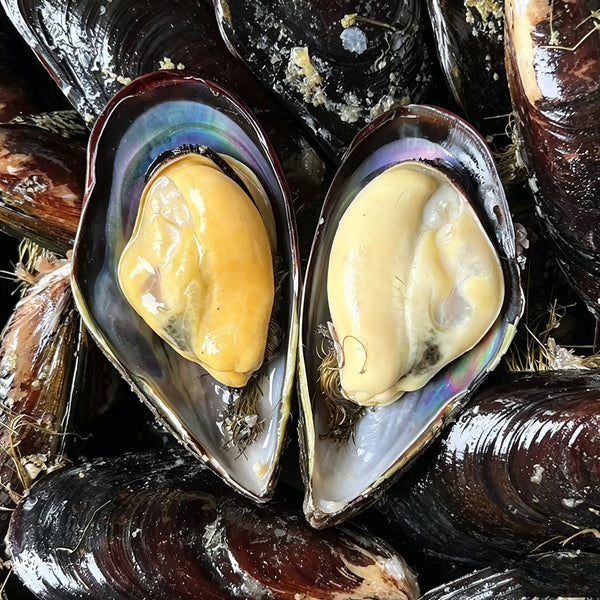 Fresh Whole Mussels