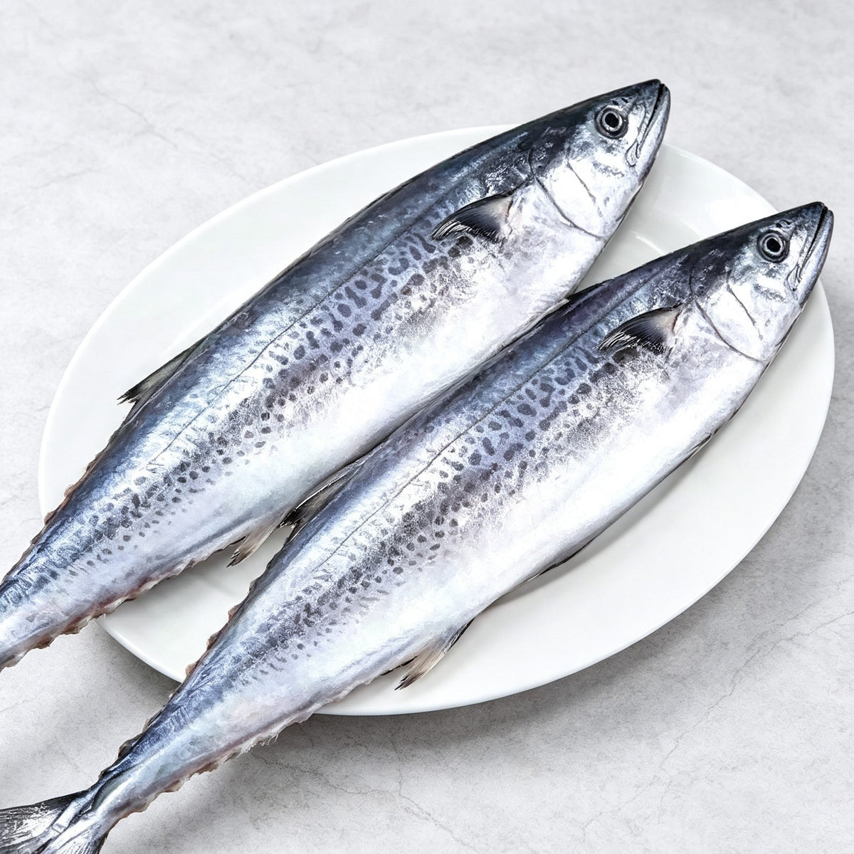 Two whole Spanish mackerel with spotted silver skin on a plate